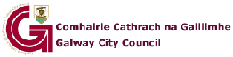 Galway City Council